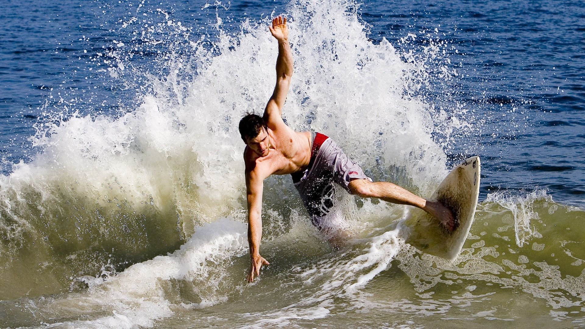 武切维奇,当魔术师穿上骑士的铠甲,芝加哥的棋盘上谁才是真正的王?